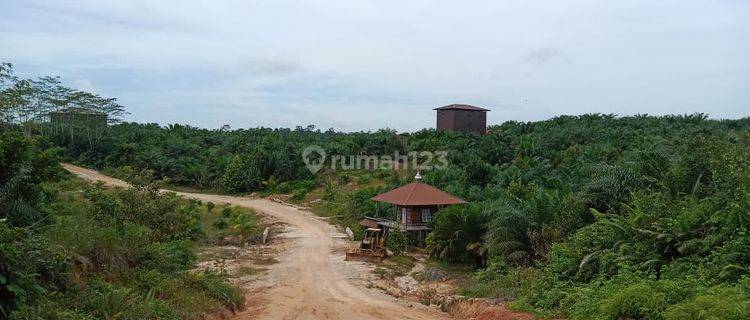 TANAH SUPER LUAS DI KALIMANTAN 1