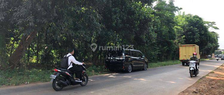 TANAH PADAT DI PURWODADI, SUBANG Cocok untuk Pabrik / Gudang   1