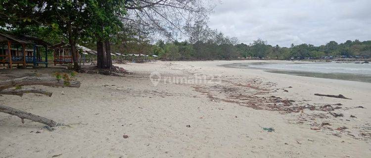 Tanah Di Nol Jalan Propinsi Di Bintan Timur Riau, Ada Pantai Pribadi 1