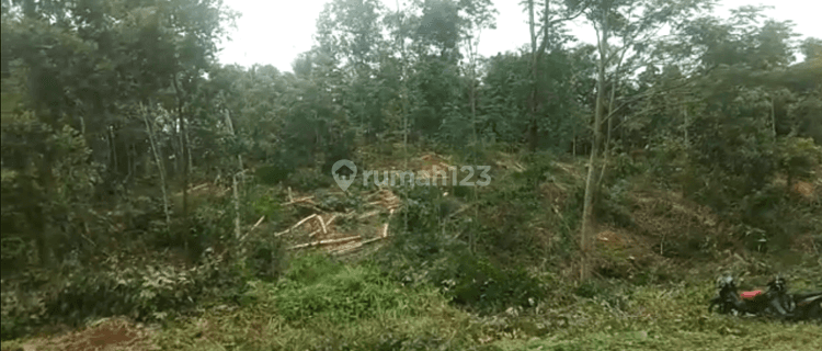 Lahan Tanah Murah Siap Bangun Dengan Luas 1Ha Di Gunung Kencana, Gunung Bungbang Lebak Banten 1