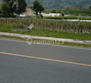 LAND BESIDE THE MAIN ROAD BATURITI BEDUGUL 1