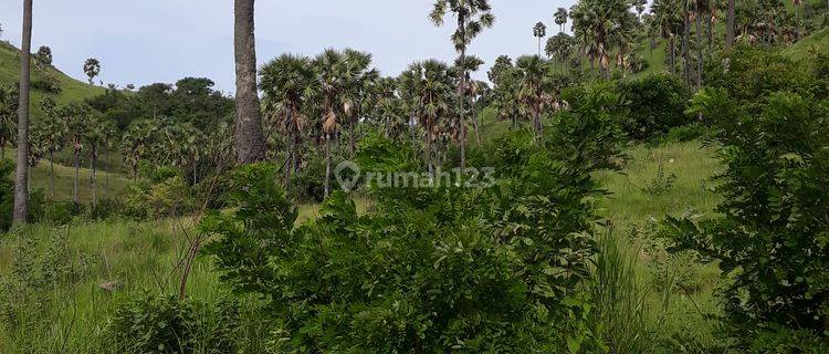 Tanah 2.500 m2, Lokasi area perhotelan bintang 5, Sangat bagus untuk usaha dan bisnis 1