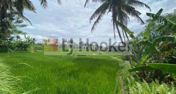 Cheap land in Sukawati, Gianyar 1