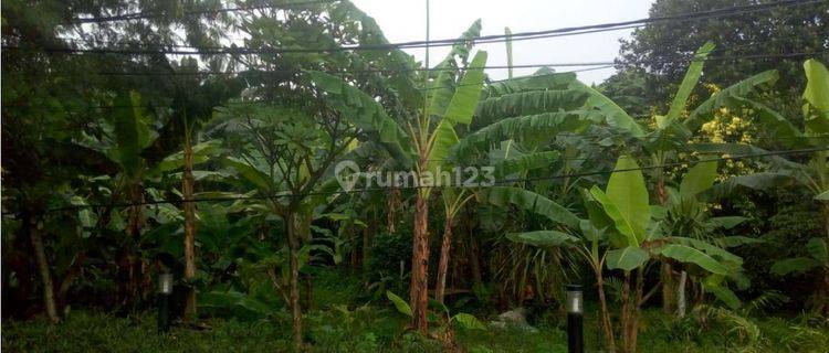 Harus Terjual tanah kosong Murah, siap bangun rumah, Nego sampai Terjual 1