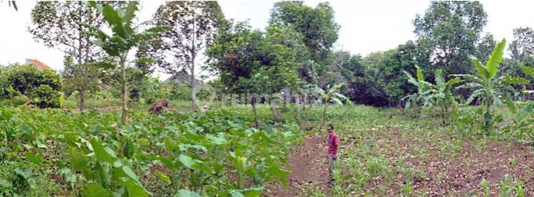 Kavling bagus di Perintis Kemerdekaan (DN) 1