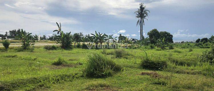 LAND FOR SALE - THE STUPID BULE WANTS TO GO BACK TO THE VILLAGE!!! 1