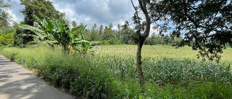 TANAH UTK INDUSTRI KEMA.SULAWESI UTARA 1