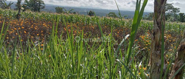 Beautiful land with Benua view 1