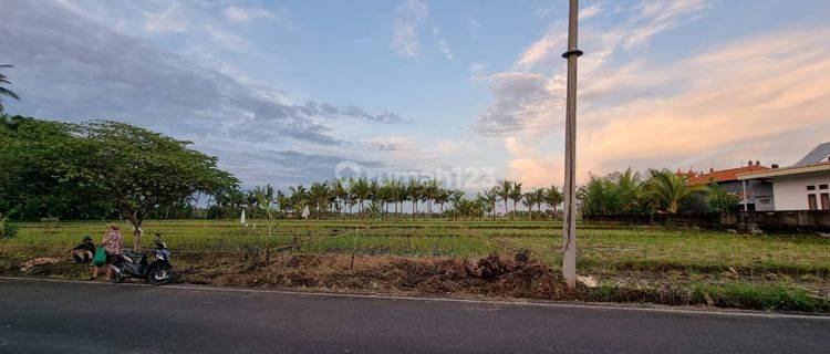 LAND FOR SALE : DIJUAL KARENA DAMPAK OMICRON !!! 1