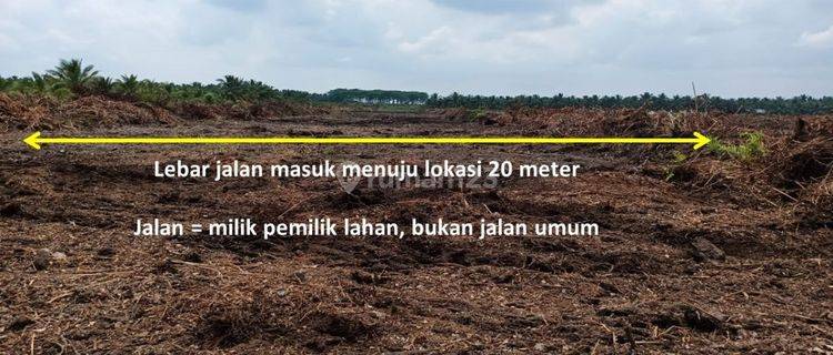 Lahan LAHAN 50 HEKTAR DIJUAL DI TEPI SUNGAI 1