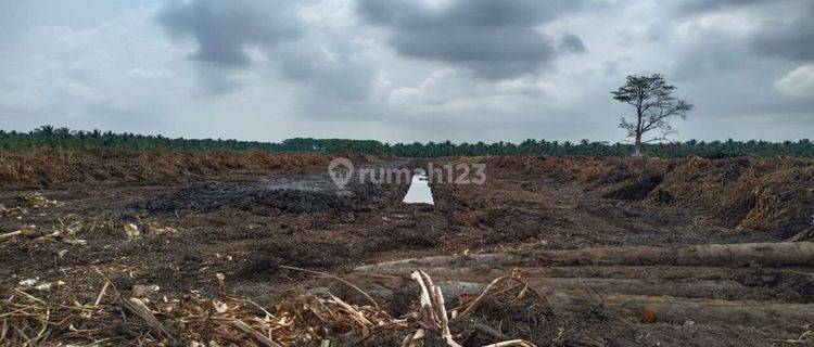 LAHAN 50 HEKTAR DIJUAL DI TEPI SUNGAI 1