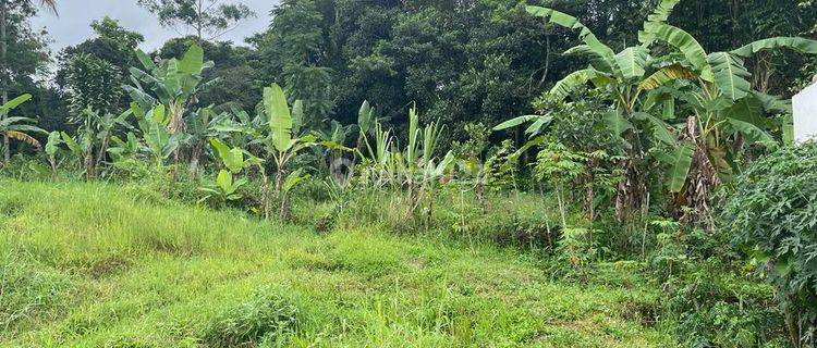 Tanah Kebun Super Murah dan Luas di Goalpara Sukabumi Dekat Pusat Kota 1