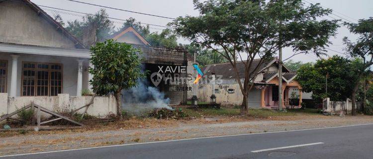 Dijual Tanah Blitar Nol Jalan Propinsi Kediri 1