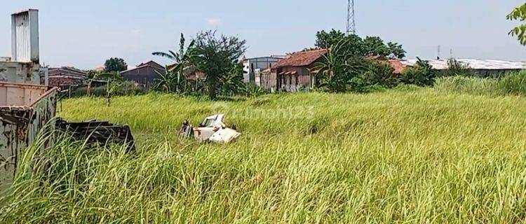 Tanah di Trimulyo, sayung 1