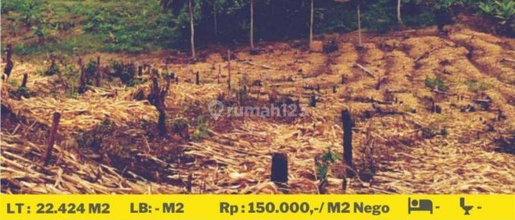 Tanah murah minang Rua Bakau heni siger 1