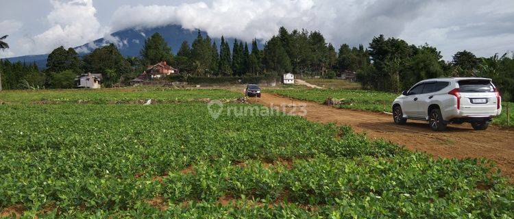 Jual tanah di puncak Cisarua Megamendung dekat JSI  1