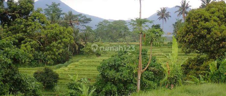 BUC TANAH VIEWS MOUNTAINS, FIELDS AND THE TABANAN RIVER 1