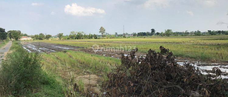 Tanah Industri, Jombang, Bentuk Bagus, Harga Masuk Akal 1