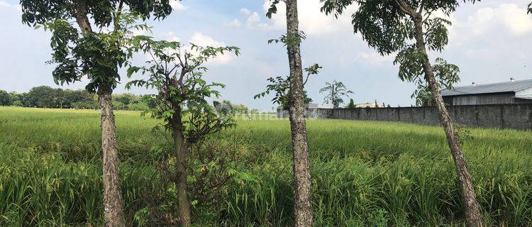 Tanah Industri Sukorejo, Jombang. Bentuk Proporsional 1