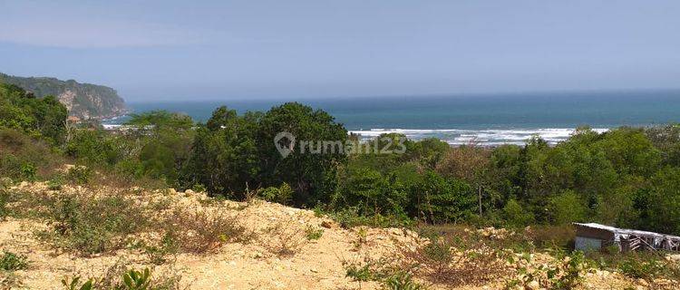 Tanah Bagus dekat Pantai di Gunung Kidul Yogya 1