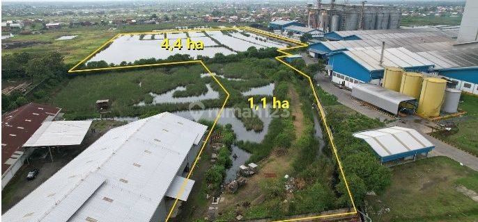 DIJUAL CEPAT TANAH KOSONG LUAS STRATEGIS DI DESA SAYUNG DEMAK, JAWA TENGAH 1