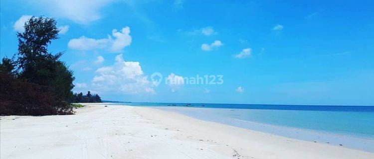 Belitung Sijuk Tanah 1.4Ha View Pantai Hadap Utara 575rb 1