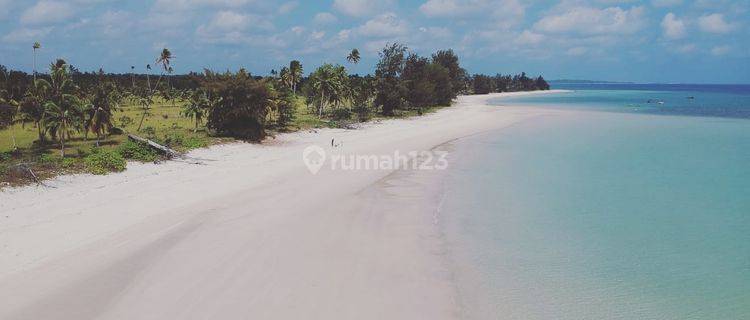 Tanah Komersil Sijuk Belitung 1.4Ha View Pantai 575rb 1