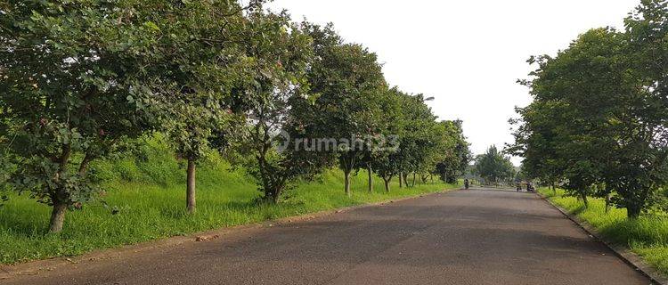 tanah kavling bagus murah di budi indah heliconia setiabudi 1