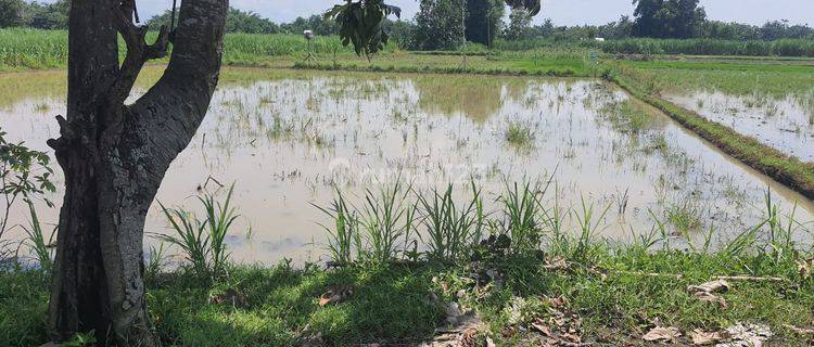 Tanah Industri di Jatikalen Jombang 1