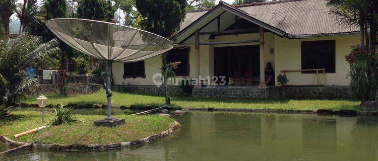 Tanah Luas Ada Villa Lokasi Strategis Sejuk dan Asri  1