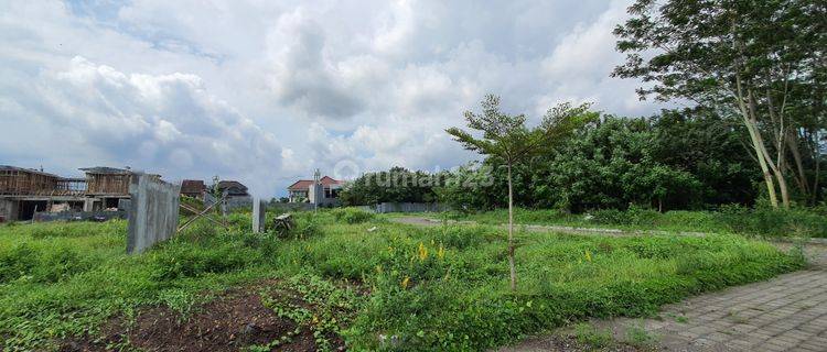 Tanah Kavling Siap Bangun Lokasi Perumahan Elit Kota Jember 1