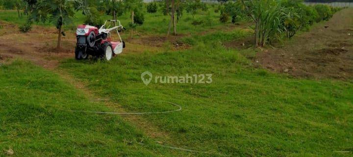 Tanah Kering Pagar Keliling di Gurah Kediri 1