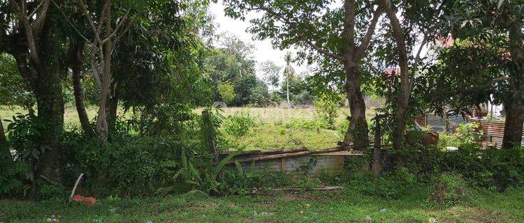 Tanah  Matang di Bone  1