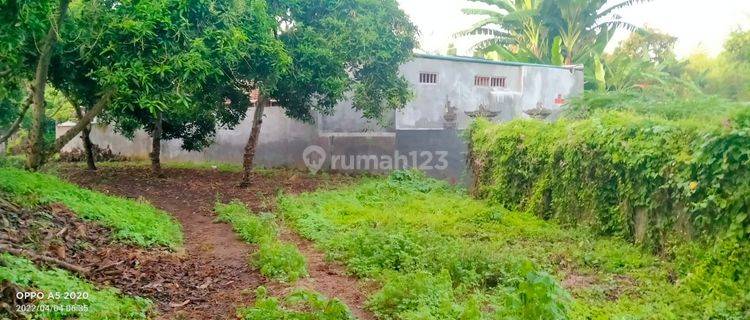 Cheap land for sale, 7100 Sawan Buleleng Village  1