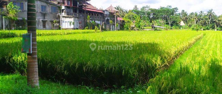 Tanah pinggir jalan aspal view sawah gunung lembah keren cocok vila 1