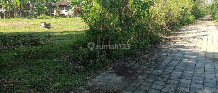 Tanah Murah Bali Dekat Pelabuhan Pengambengan 1