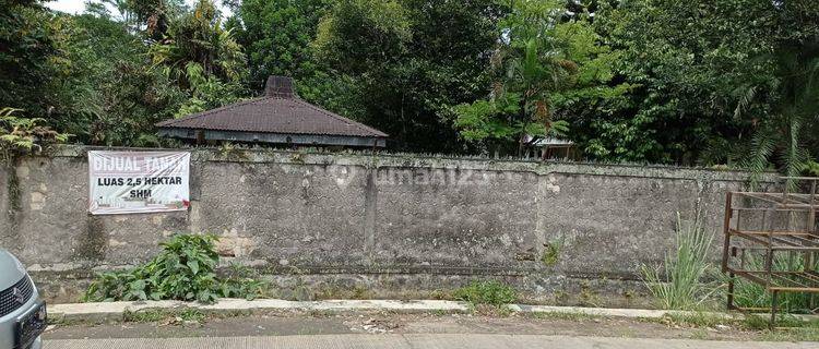 Tanah 2.5 hektar, pinggir jalan di Parung Banteng 1