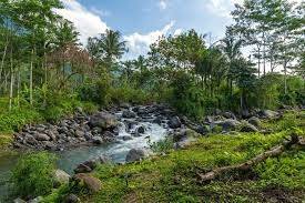 Cheap land, hotel land for sale quickly in Sidemen Karangasem 1