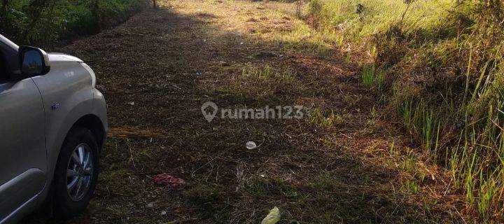 The cheapest land in this location is suitable for villas / investment 1