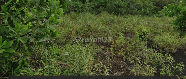 Tanah Siap Bangun di Jalan Sepakat 2 1