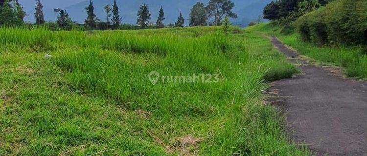 Tanah Murah Dibawah Njop Lokasi Wisata Cisarua Bogor 1