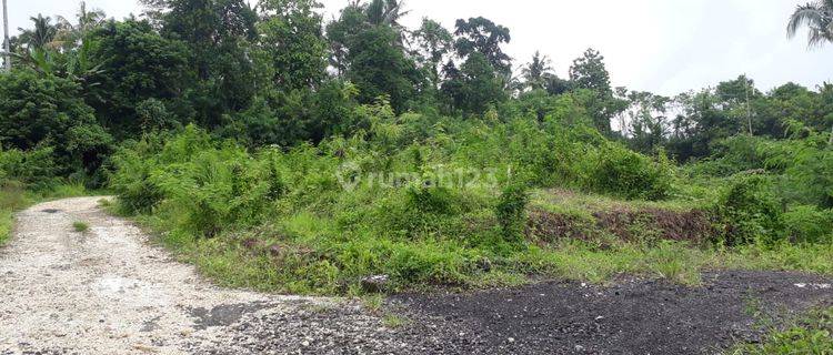 Tanah Murah Lokasi Terbaik di Kerambitan Tabanan Bali 1