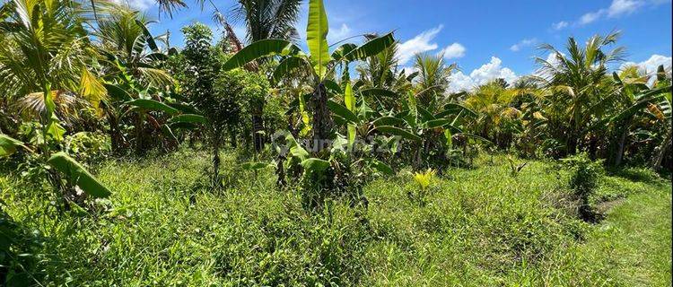 Enormous Parcel Of Commercial Freehold Land Close To Beach – Tabanan – 2120L 1