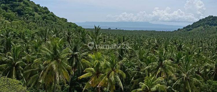 Tanah full view ocean dan bukit di karangasem 1