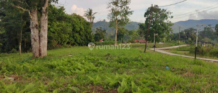 Tanah Murah  Cepat lokasi strategis di Halong Ambon 1