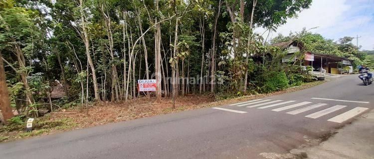 Tanah Pinggir Jalan Raya Patuk - Dlingo Bantul 1