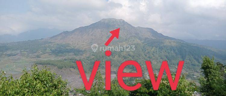 Tanah pinggir jl utama view gunung batur 1