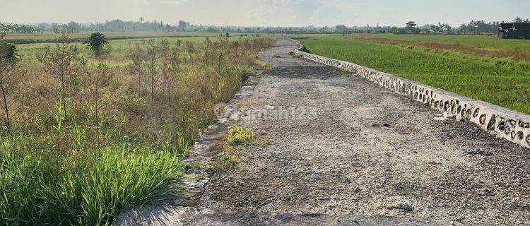 DIJUAL TANAH DEKAT PANTAI MENGENING CEMAGI 1