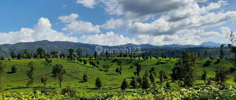 Dijual kavling siap bangun di Gambung, Ciwidey 1