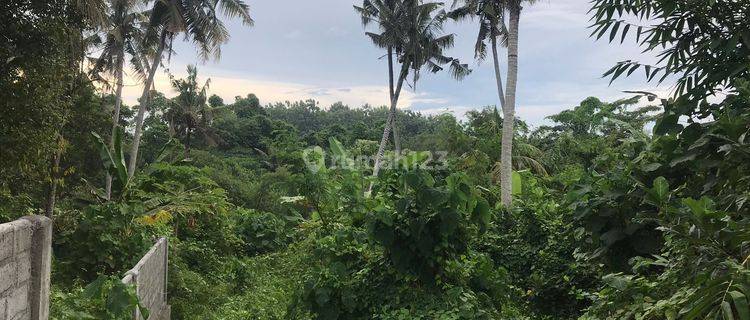 strategic land vew juggle comfortable environment in the Ubud area 1